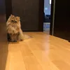 klaudinaaa_04