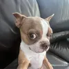 umm_nn