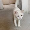 ziya0146