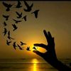 rao_194