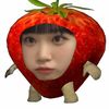 fruwutloops