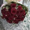hayalim44446