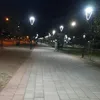 tatvanfan