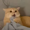 emmadoan19