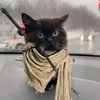 parrylikeme