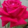 user06378460