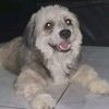 chichi050995