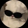 user95496597