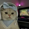 imapizza_0103