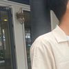 _razzer_3