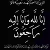 leoy7ajyrasull