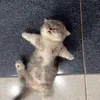 thanhthuy121002
