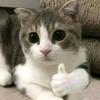 ndraa_925