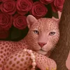 _anoosh99_