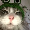 kripyk