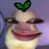 adriann696