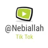 nebiallah