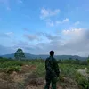 rimotminh