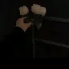 bntshamr7