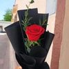 hayat_a221