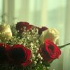 khb_95