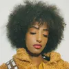 Melat Phénix