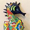 senorseahorse