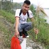 longkeng93
