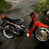 fan05202