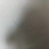 alperen_1414