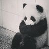 ainnurrnii_