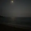 zn.milaa