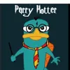 parry_hotter.official