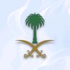 nerminelkadi1
