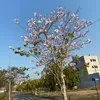 usera8ozuhkwxi