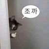 _wifsskc