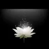 thanh.thanh.98
