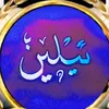 el1nn4a