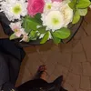 shlova_