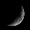 moonmomof4