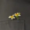 _toiladuy