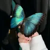 lole__223