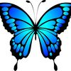 1234butterfly8
