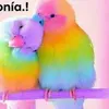 indira_medina._hernandez