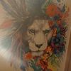 lionsor