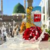 mr. ghori