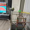 seko_035__