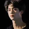 www.tiktok.loveseokjin
