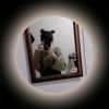 nananaz27