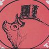 polite_pig